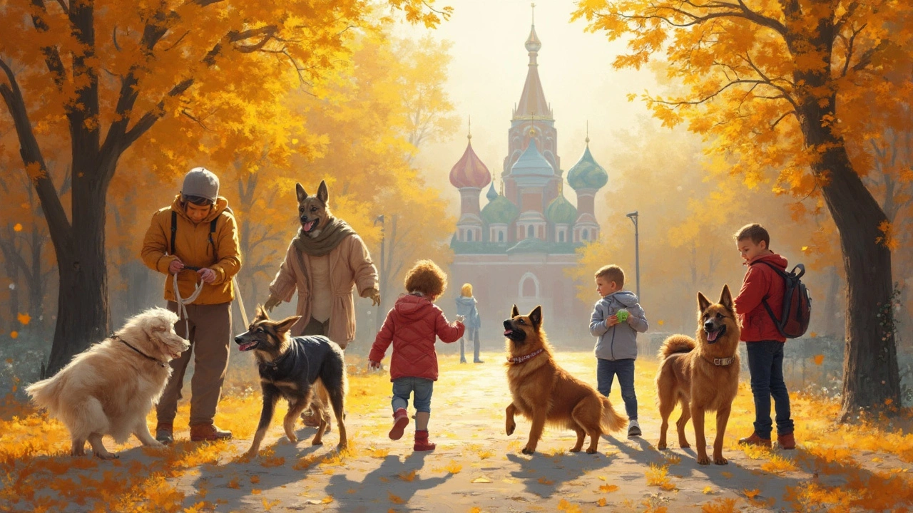 Группы пород собак: какие бывают и чем отличаются