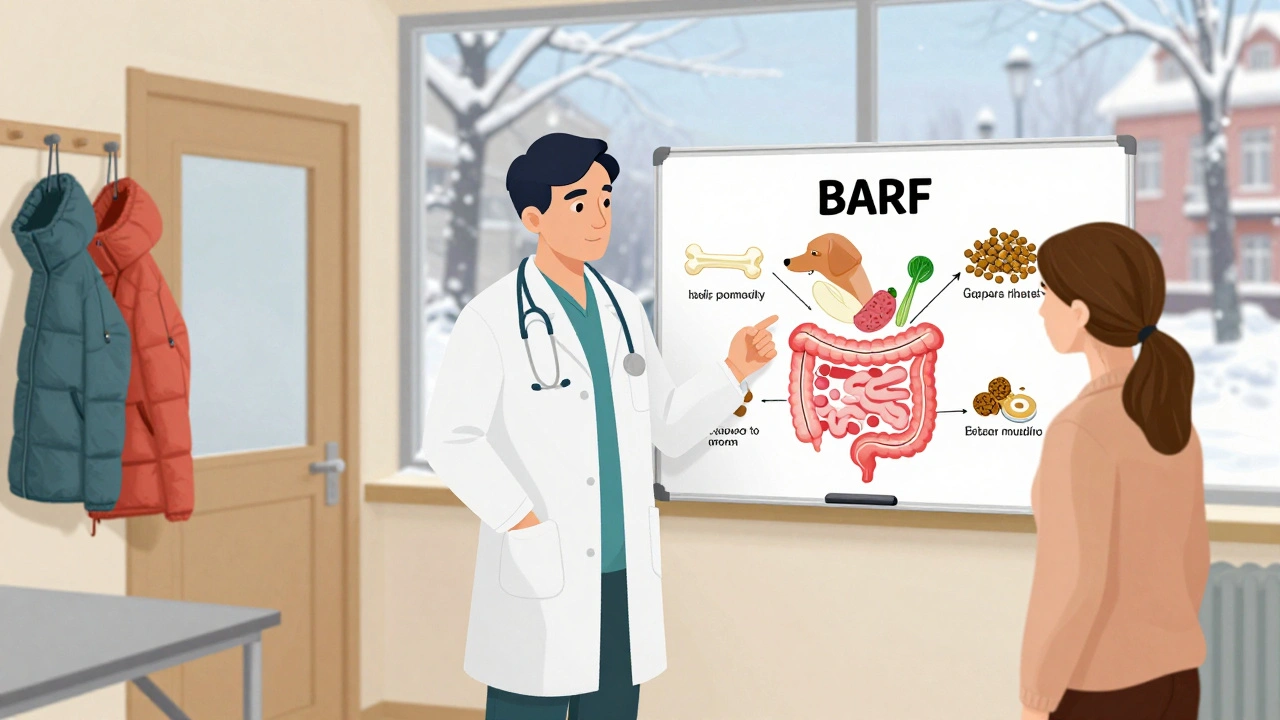 Ветеринар объясняет владельцу собаки принципы питания BARF, используя диаграммы на доске в клинике.